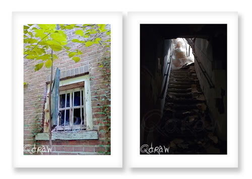 FotoEXPO apeldoorn, fotografie, vergankelijkheid