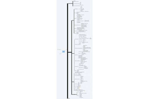 Ideeën toegankelijk maken met een mindmap ; Mindmap, met de nadruk op de structuur | foto 1 Ideeën toegankelijk maken met een mindmap ; mindmap | foto 1