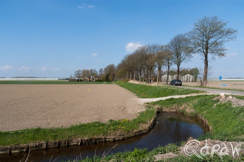 Kom in de Kas Marknesse Noordoostpolder 2014 | foto 5 Kom in de Kas Marknesse Noordoostpolder 2014 kassen, uitzicht, paprika, weg, polder, flevoland, noordoostpolder | foto 5