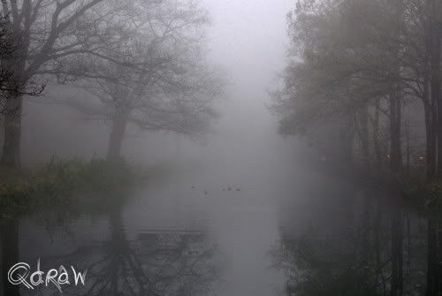 De week van de ochtendmist