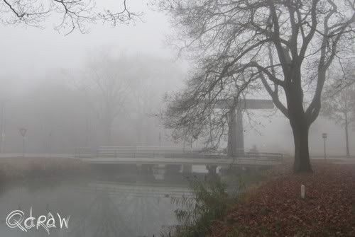 De week van de ochtendmist