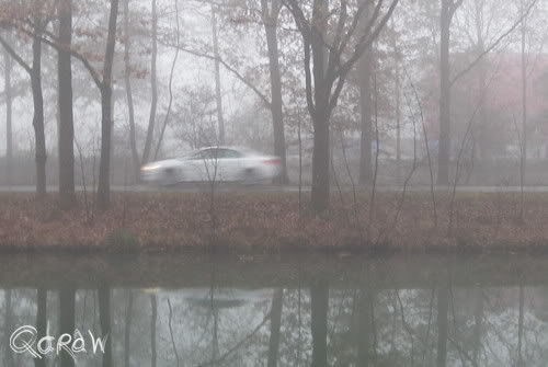 De week van de ochtendmist