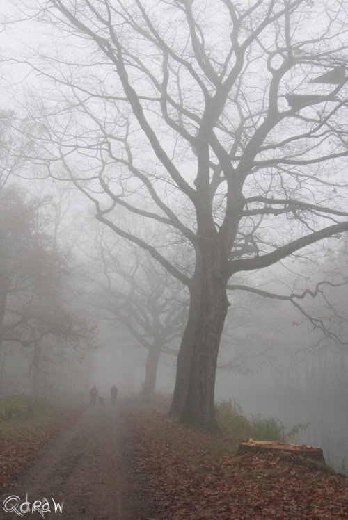 De week van de ochtendmist