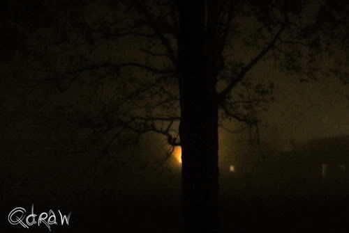 De week van de ochtendmist