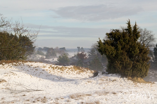 Stuifzandgebied Kootwijkerzand in de Sneeuw (2017) ; Doorkijkje | foto 5 Stuifzandgebied Kootwijkerzand in de Sneeuw (2017) ; sneeuw, kootwijk, zand, stuifsneeuw, Stuifzandgebied Kootwijkerzand, doorkijkje | foto 5