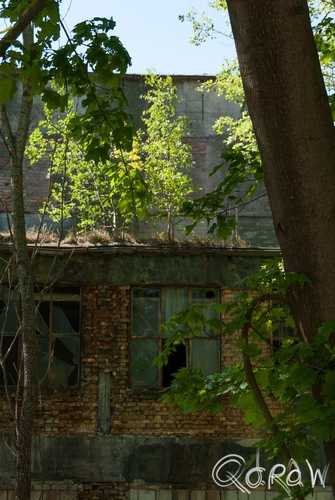 Technik-Museum Pütnitz - Ribnitz-Damgarten | foto 15 Technik-Museum Pütnitz - Ribnitz-Damgarten bomen op dak | foto 15