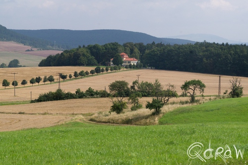 Thüringenwald landschap (2016) ; Mellrichstadter Forst | foto 1 Thüringenwald landschap (2016) ; Mellrichstadter Forst, Mellrichstad, bomen, graan, landerij | foto 1