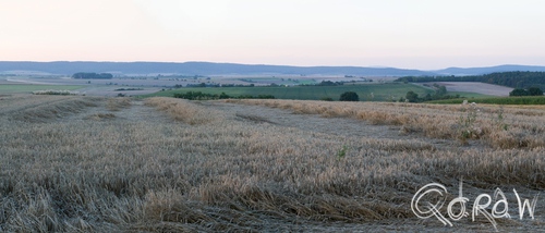 Thüringenwald landschap (2016) ; Graanveld | foto 5 Thüringenwald landschap (2016) ; Kornfeld, graanveld, vergezicht, landschap | foto 5