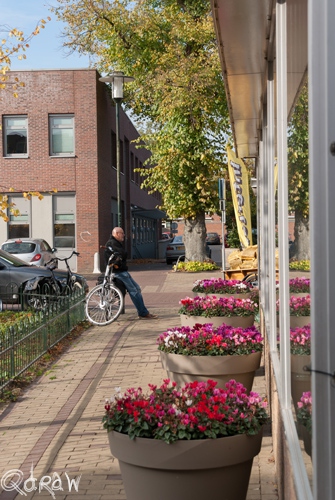 Twello Centrum (2013); Bloembakken, man wachten, fiets, De Valeweide, Bloemen en Planten, Intertoys