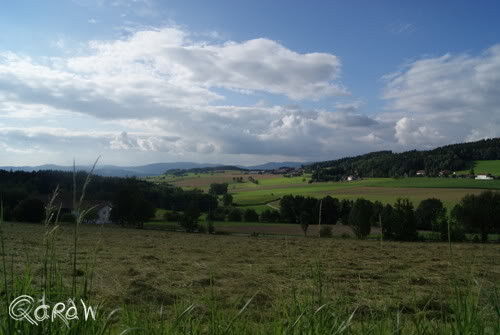 93453 Neukirchen b.Hl.Blut im Bayerischen Wald