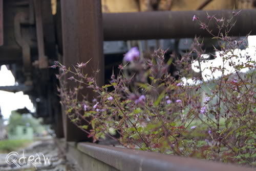 93453 Neukirchen b.Hl.Blut im Bayerischen Wald