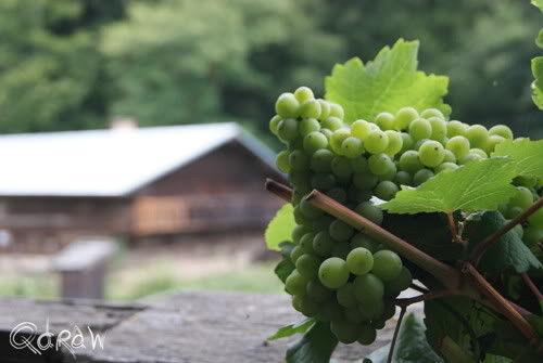 93453 Neukirchen b.Hl.Blut im Bayerischen Wald