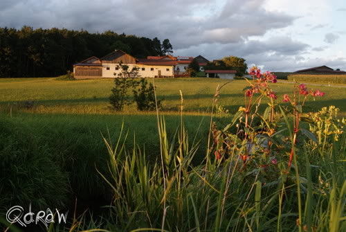 93453 Neukirchen b.Hl.Blut im Bayerischen Wald