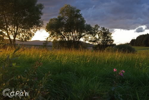 93453 Neukirchen b.Hl.Blut im Bayerischen Wald