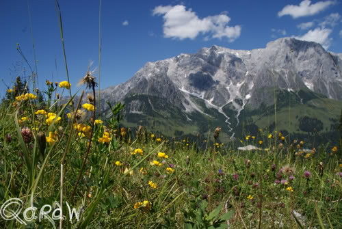 Blick zum Hochköning; foto 3