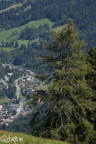Zicht naar Mühlbach/Hkg; foto 6