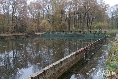 Waterloopbos Marknesse | foto 6 Waterloopbos Marknesse | foto 6
