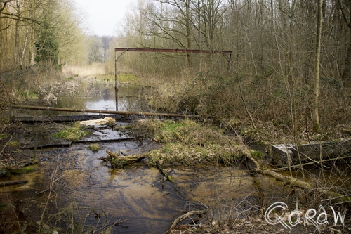 Waterloopbos Marknesse 2015 ; Experiment tegen kusterosie bij Tyboron Denemarken | foto 2 Waterloopbos Marknesse 2015 ; kusterosie bij tyboron denemarken, waterloopbos, Voorsterbos | foto 2