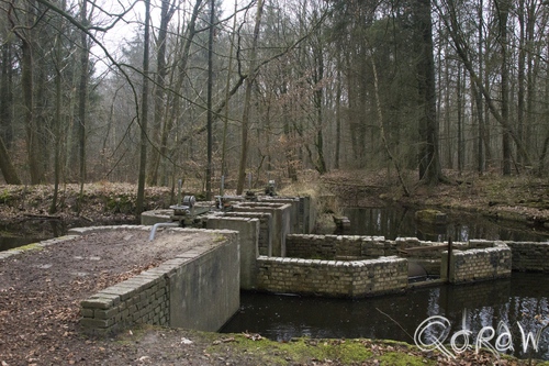 Waterloopbos Marknesse 2015 ; Experiment voor de Willemstunnel Rotterdam | foto 3 Waterloopbos Marknesse 2015 ; waterloopbos, Voorsterbos, willemstunnel rotterdam | foto 3