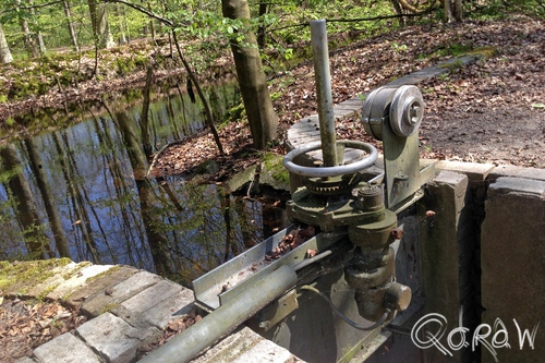 Waterloopbos Marknesse 2017 ; Dam | foto 2 Waterloopbos Marknesse 2017 ; Waterloopbos, Marknesse, dam | foto 2