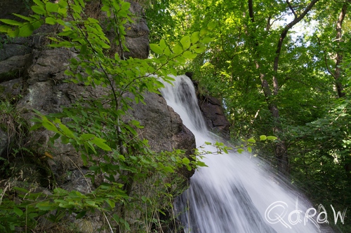 Waterval Altersbach Thüringen (2016) ; Altersbach | foto 1 Waterval Altersbach Thüringen (2016) ; Altersbach, waterval, boom | foto 1