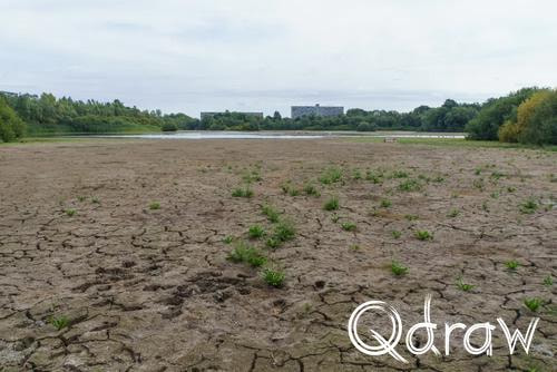 Holthuyserpad: Klompenpad tussen stad en rivierenland (2026) ; Immerlooplas - laag water ; Immerlooplas, laag water, droogte, Holthuyserpad