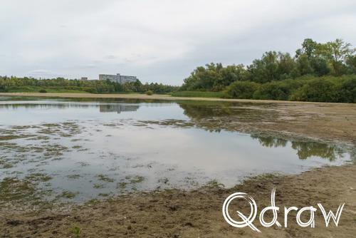 Holthuyserpad: Klompenpad tussen stad en rivierenland (2026) ; Immerlooplas - laag water ; Immerlooplas, laag water, droogte, Holthuyserpad