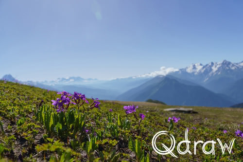 Bekijk de volledige serie: Etappe 3: Utviri Pass naar Nakra