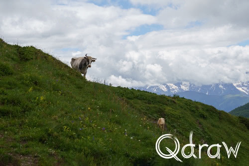 Bekijk de volledige serie: Etappe 7: Becho Valley naar Guli