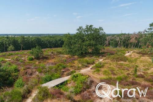 Twee Schansenroute over Landgoed Mookerheide (2026) ; Mokerschans ; bos, heide, uitzicht, Mokerschans, Mook