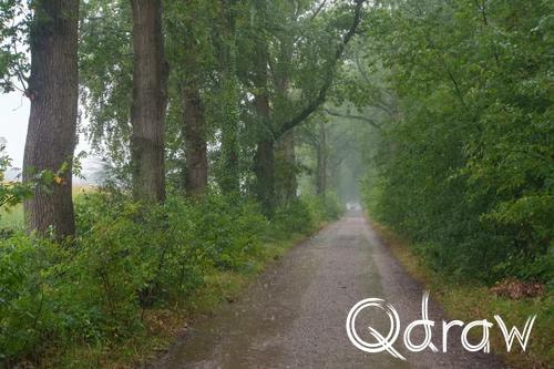 Veluwe Zwerfpad Etappe 12 van Vaassen naar Hoog Soeren (2026) ; Hattumseweg (Vaassen) ; Etappe 12, Hattumseweg, Vaassen, regen, laan, Veluwe Zwerfpad