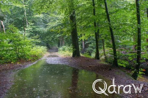 Veluwe Zwerfpad Etappe 12 van Vaassen naar Hoog Soeren (2026) ; Hartense sprengen ; Etappe 12, plas, water, regen, Hartense sprengen, Veluwe Zwerfpad
