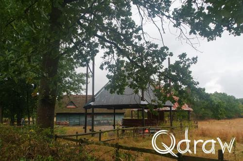 Veluwe Zwerfpad Etappe 12 van Vaassen naar Hoog Soeren (2026) ; Hooiberg ; Etappe 12, Hooiberg, eik, boom, Veluwe Zwerfpad