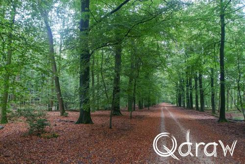 Veluwe Zwerfpad Etappe 12 van Vaassen naar Hoog Soeren (2026) ; De Klinkenberg - Hoog Soeren ; Etappe 12, de Klinkenberg, Hoog Soeren, Veluwe Zwerfpad