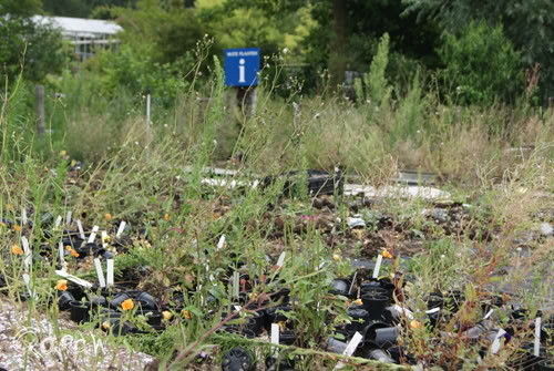 AOC- Oost wordt gesloopt