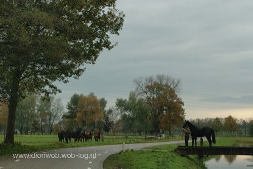 Herfst aan het Kanaal