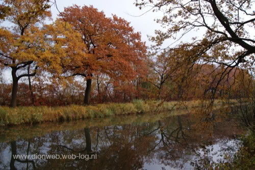 Herfst aan het Kanaal