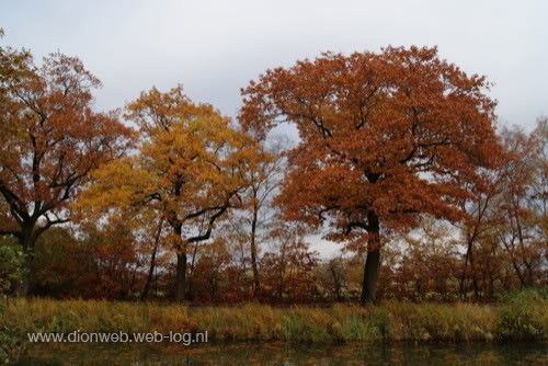 Herfst aan het Kanaal