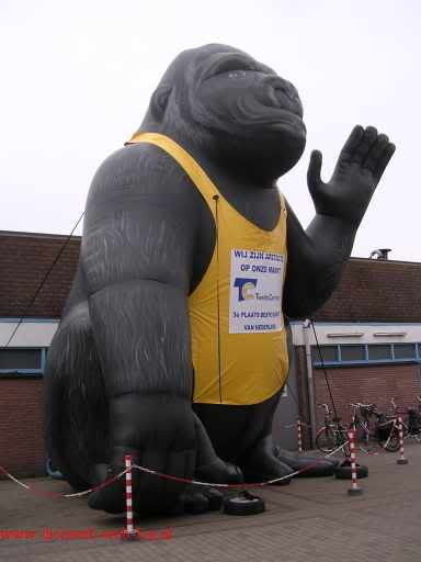 Wij zijn apetrots op onze markt.3e plaats beste markt van Nederland.
