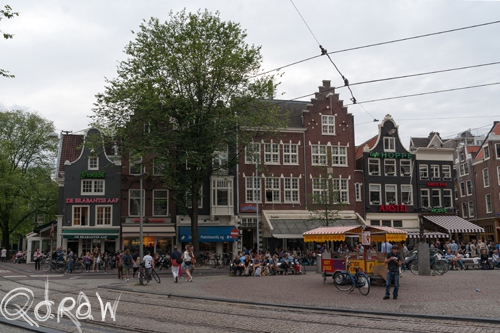 Amsterdam Centrum (2013), de brabantse aap, grolsch, kroeg, café hoppe, amstel, spui