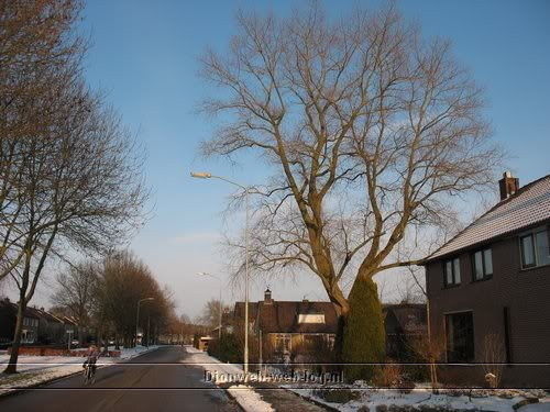 Van Apeldoorn centrum tot Twello centrum in de sneeuw.