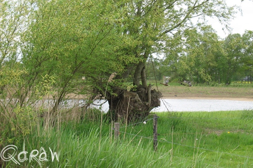 Avervoorderpad De Vecht (Terwolde) (2013)