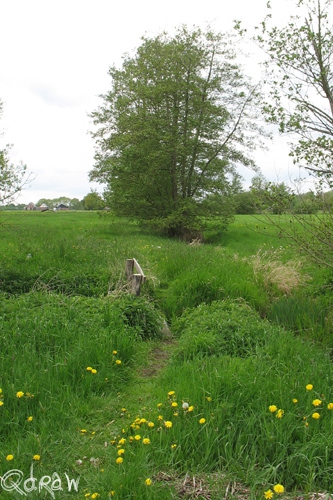 Avervoorderpad De Vecht (Terwolde) (2013)