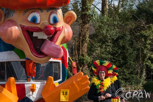 Carnaval Wilp-Achterhoek 2014 | foto 5