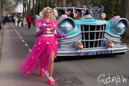 Carnaval Wilp-Achterhoek 2014 | foto 10