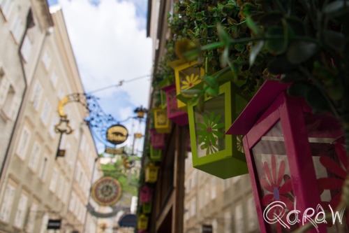Citytrip Salzburg (2017) ; Salzburg, Getreidegasse, bloemen, flowers | foto 4