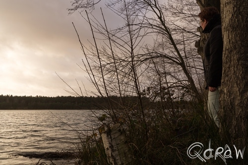 Dankernsee Emsland (2016) ; Dankernsee, Emsland, berk, zicht | foto 2
