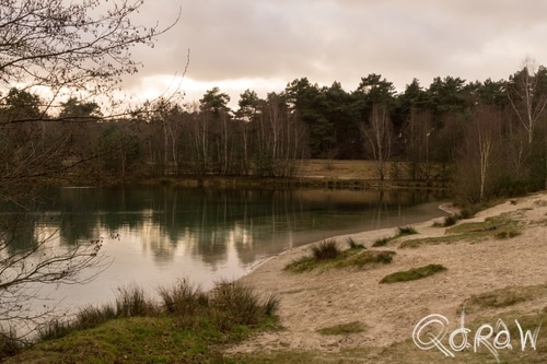 Dankernsee Emsland (2016) ; Dankernsee, Emsland, strand, groen, water | foto 3