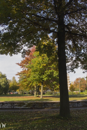 De kleuren van de Herfst (Den Bosch) (2013)