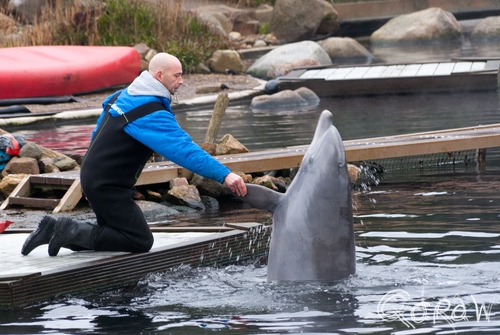 Dolfinarium Harderwijk | foto 1
